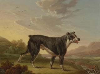 Tyke - Charles Towne — Ansicht des Kunstwerks