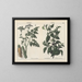 Pflanzen toxisch: giftige und belladonna - Charlotte Mary Yonge — gerahmtes Bild an der Wand