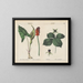 Giftpflanzen der Herren und Damen in Paris - Charlotte Mary Yonge — gerahmtes Bild an der Wand