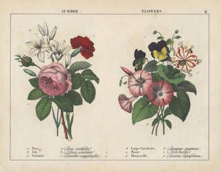 Sommerblumen - Charlotte Mary Yonge — Ansicht des Kunstwerks