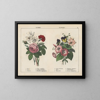 Sommerblumen - Charlotte Mary Yonge — gerahmtes Bild an der Wand