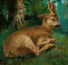Reh - Gustave Courbet — Ansicht des Kunstwerks