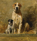 Hund und Hundehütte in einem Zwinger - John Emms — Ansicht des Kunstwerks
