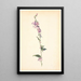 Campanule - Christen Dalsgaard — gerahmtes Bild an der Wand