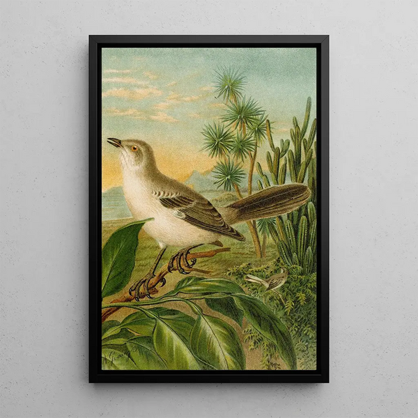 Reproduktion des Gemäldes Le monde des oiseaux nord-américains pl04 - Christian Anton Goering