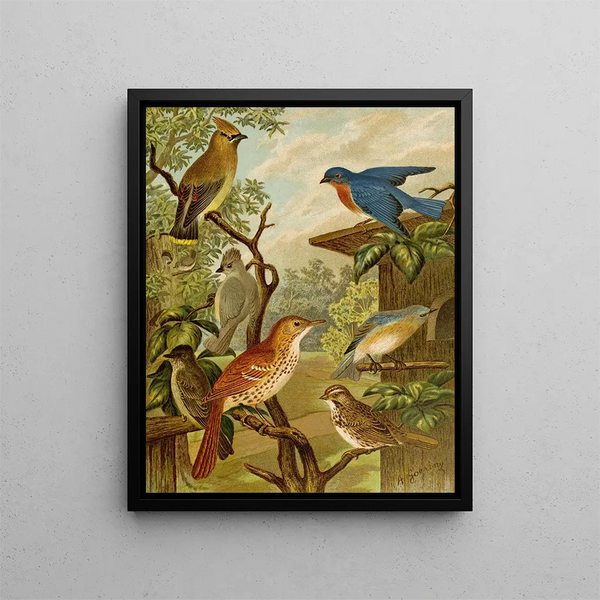 Le monde des oiseaux d'Amérique du Nord pl06 - Christian Anton Goering — gerahmtes Bild an der Wand