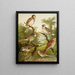 Le monde des oiseaux d'Amérique du Nord pl25 - Christian Anton Goering — gerahmtes Bild an der Wand