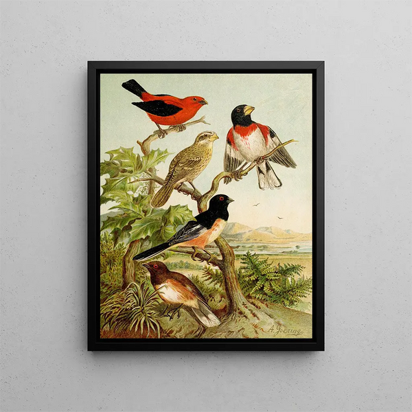 Le monde des oiseaux d'Amérique du Nord pl26 - Christian Anton Goering — gerahmtes Bild an der Wand