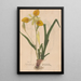 Ectypa vegetabilium Pl101 - Christian Gottlieb Ludwig — gerahmtes Bild an der Wand