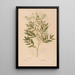Ectypa vegetabilium Pl161 - Christian Gottlieb Ludwig — gerahmtes Bild an der Wand