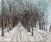 Allée du Belvédère à Weimar - Christian Rohlfs — Ansicht des Kunstwerks