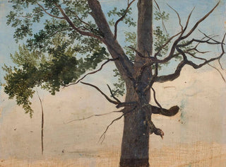 Einsamer Baum - Chrystian Breslauer — Ansicht des Kunstwerks