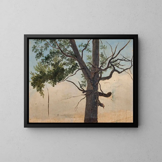 Einsamer Baum - Chrystian Breslauer — gerahmtes Bild an der Wand
