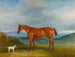 Kathleen - John Ferneley — Ansicht des Kunstwerks