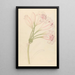 Amarillis Crinum lineare - Clemenz Heinrich Wehdemann — gerahmtes Bild an der Wand