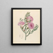 Convolvulus Ipomoea oenotheroides - Clemenz Heinrich Wehdemann — gerahmtes Bild an der Wand