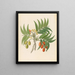 Decandria Mon Harpephyllum caffrum - Clemenz Heinrich Wehdemann — gerahmtes Bild an der Wand