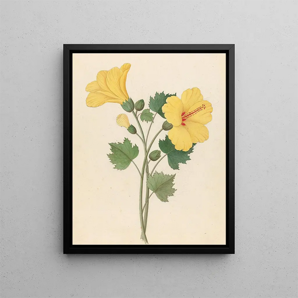 Hibiskus Hibiscus calyphyllus - Clemenz Heinrich Wehdemann — gerahmtes Bild an der Wand