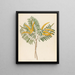 Mimosa Acacia caffra - Clemenz Heinrich Wehdemann — gerahmtes Bild an der Wand