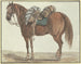 brauner Pferd mit Sattel, nach links gewandt - Conrad Gessner — Ansicht des Kunstwerks