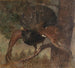 Gockel aus Heidekraut - Franz Xaver von Pausinger — Ansicht des Kunstwerks