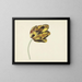 Tulpe namens Bizard Phoenix - Cornelis van Noorde — gerahmtes Bild an der Wand