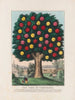 L'Arbre de tempérance - Currier Ives — Ansicht des Kunstwerks