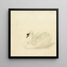 Cygne tuberculé - Aert Schouman — gerahmtes Bild an der Wand