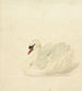 Cygne tuberculé - Aert Schouman — Ansicht des Kunstwerks
