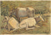 Kühe - Cyprian Majernik — Ansicht des Kunstwerks