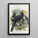 Anthracoceros malayanus - Daniel Giraud Elliot — gerahmtes Bild an der Wand