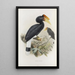 Buceros sylvestris - Daniel Giraud Elliot — gerahmtes Bild an der Wand