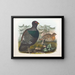 Coq des bois - Daniel Giraud Elliot — gerahmtes Bild an der Wand