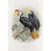 Cranorrhinus corrugatus - Daniel Giraud Elliot — Ansicht des Kunstwerks