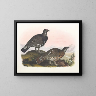 Daniel Giraud Elliot - Franklins Grouse.webp