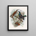 Ptiloris grandis - Daniel Giraud Elliot — gerahmtes Bild an der Wand
