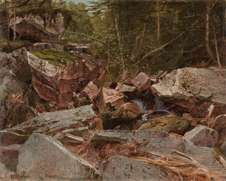 Studie von North Conway, New Hampshire - David Johnson — Ansicht des Kunstwerks