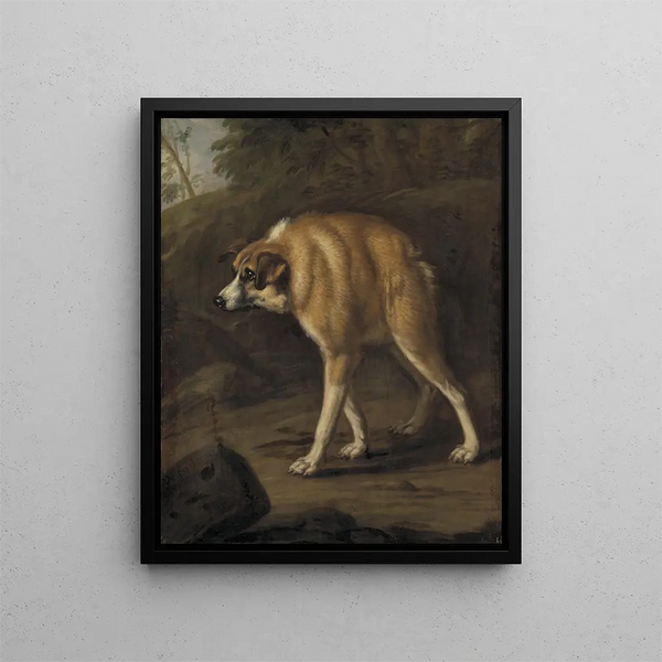 Hund Missbildad - David Klöcker Ehrenstrahl — gerahmtes Bild an der Wand