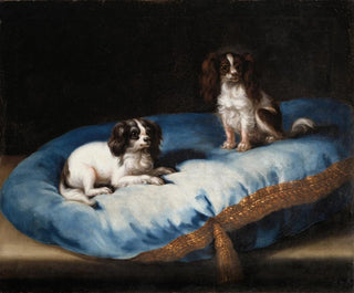 Drei kleine Hunde - David Klöcker Ehrenstrahl — Ansicht des Kunstwerks