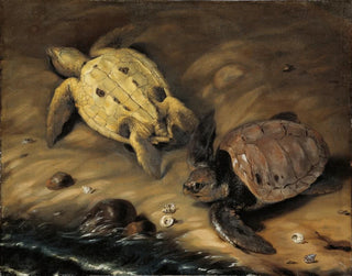 Tortues de télévision - David Klöcker Ehrenstrahl — Ansicht des Kunstwerks