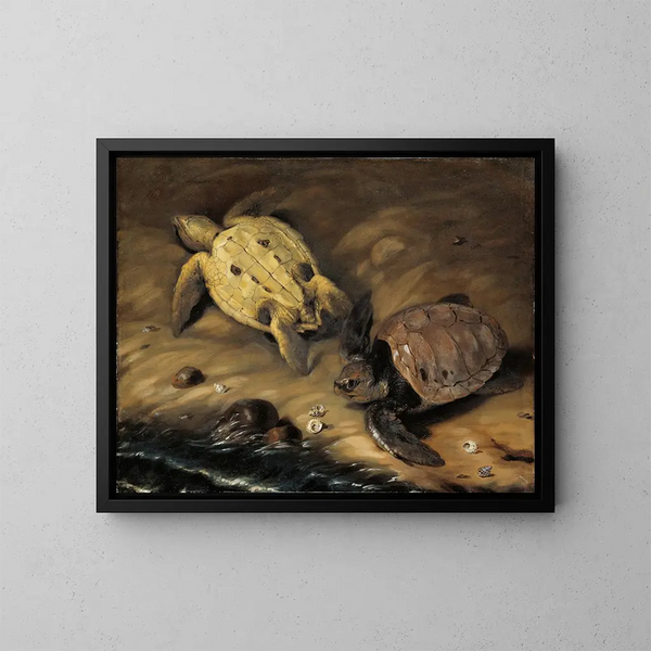 Tortues de télévision - David Klöcker Ehrenstrahl — gerahmtes Bild an der Wand