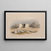 Tempel von Tafa in Nubien 16. November 1838 - David Roberts — gerahmtes Bild an der Wand