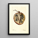Annona cherimola - Deborah Griscom Passmore — gerahmtes Bild an der Wand