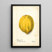 Reproduktion des Gemäldes Carica papaya - Deborah Griscom Passmore