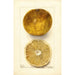 Citrus paradisi Scrubs - Deborah Griscom Passmore — Ansicht des Kunstwerks