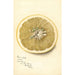 Reproduktion des Gemäldes Citrus paradisi Silver Cluster - Deborah Griscom Passmore
