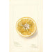 Citrus paradisi Thornton No - Deborah Griscom Passmore — Ansicht des Kunstwerks