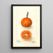 Reproduktion des Gemäldes Citrus sinensis UnShu - Deborah Griscom Passmore
