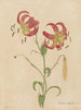 Album Aquarell von Deborah Griscom Passmore Pl02 - Deborah Griscom Passmore — Ansicht des Kunstwerks