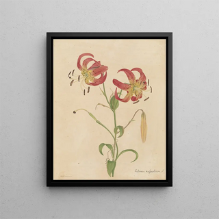 Deborah Griscom Passmore - Deborah Griscom Passmore watercolor album Pl02.webp